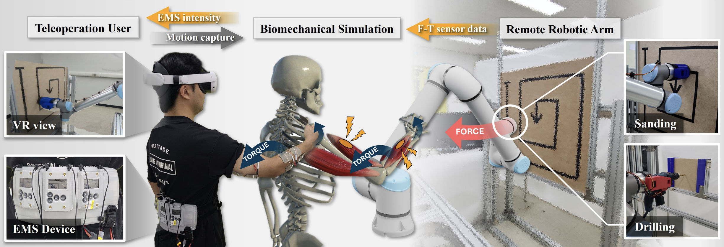 TelePulse: Enhancing the Teleoperation Experience through Biomechanical Simulation-Based Electrical Muscle Stimulation in Virtual Reality